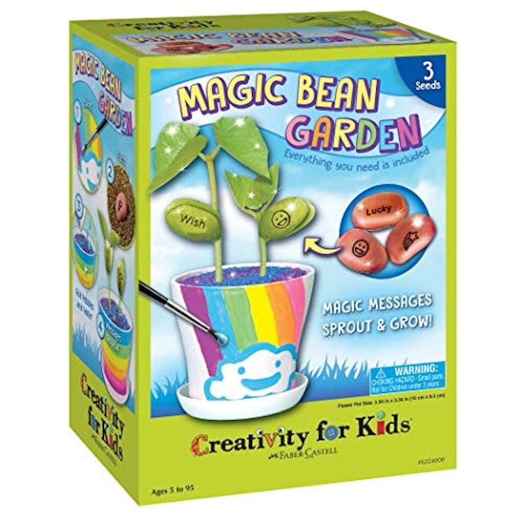 Magic Bean Garden by Creativity for Kids