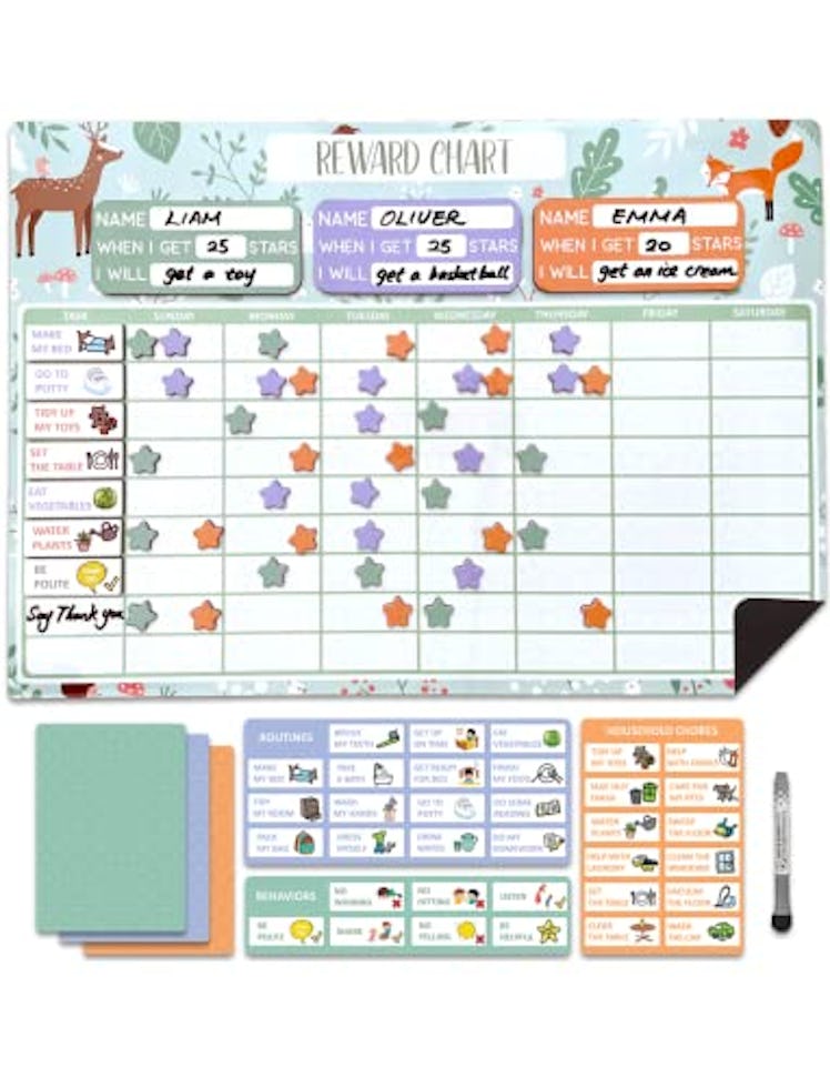 Dry Erasable Chore Chart