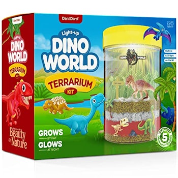 Light-up Dino World Terrarium Kit by Dan & Darci