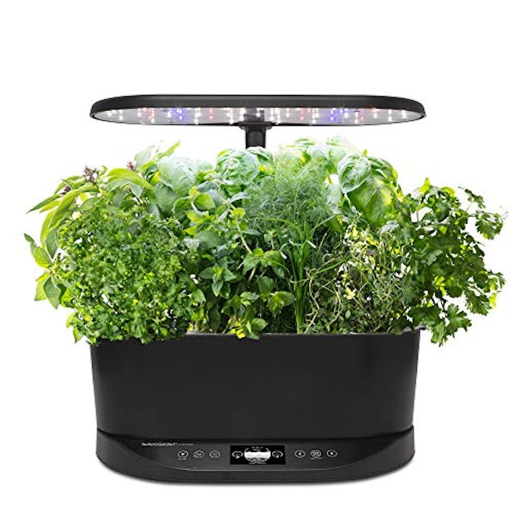 Bounty Basic Hydroponic Indoor Garden by AeroGarden