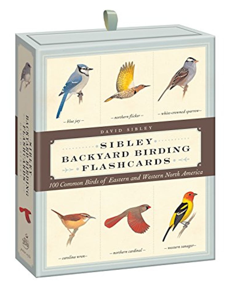 Sibley Backyard Birding Flashcards: 100 Common Birds of Eastern and Western North America