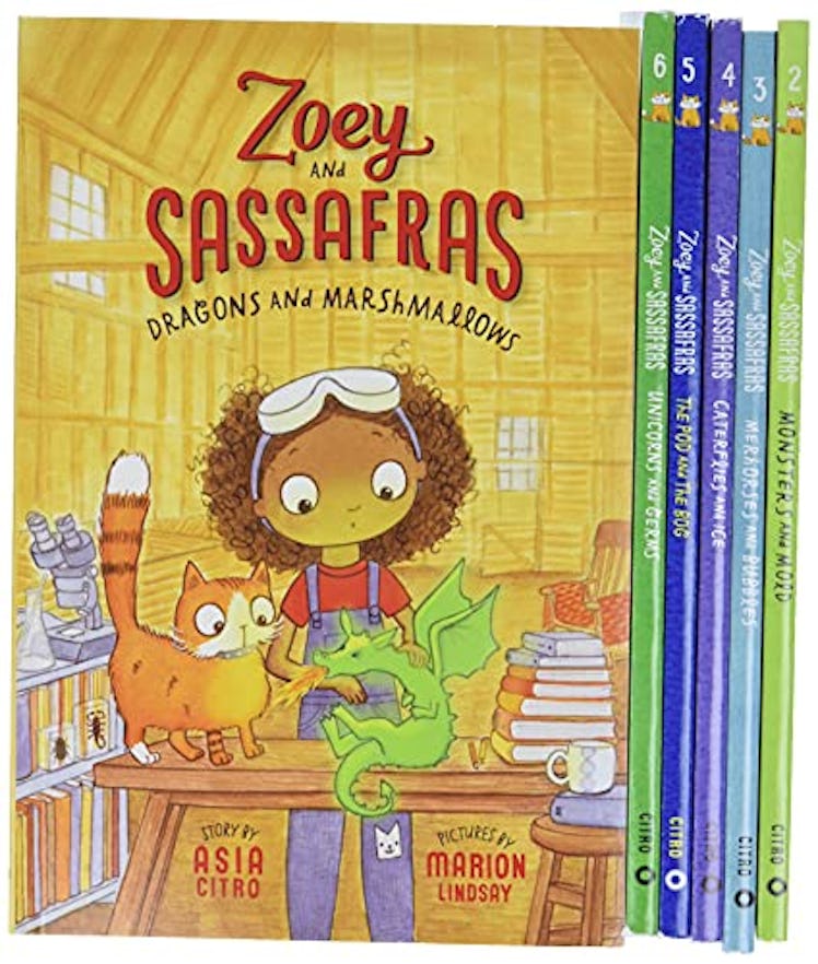 Zoey and Sassafras Books 1-6 Pack