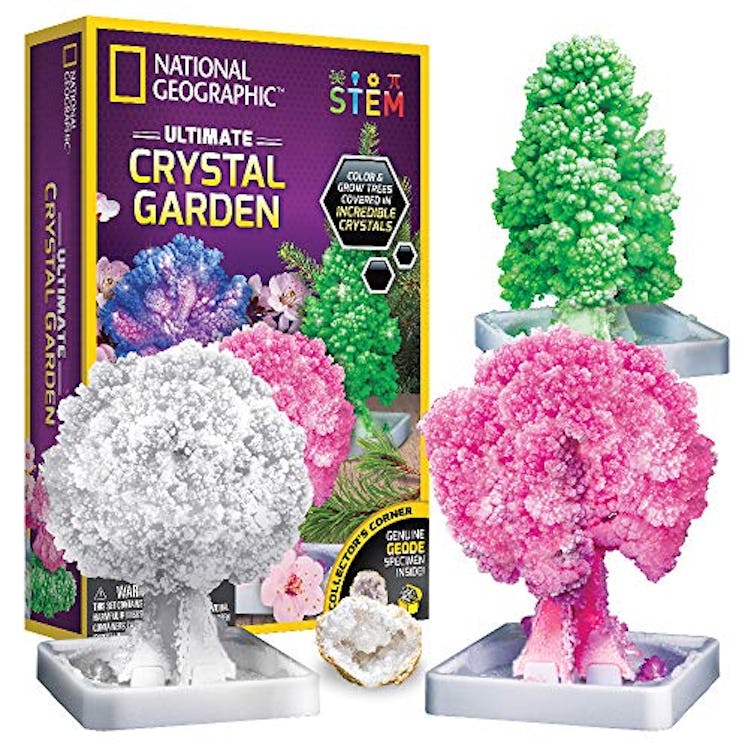Crystal Growing Garden by National Geographic