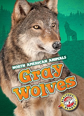 Gray Wolves (Blastoff! Readers: North American Animals)