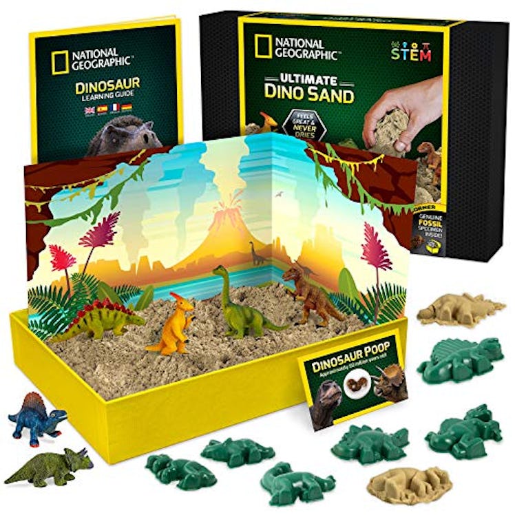 Dinosaur Play Sand by National Geographic