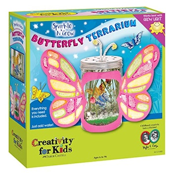 闪耀N对孩子创造力的发展蝴蝶玻璃容器