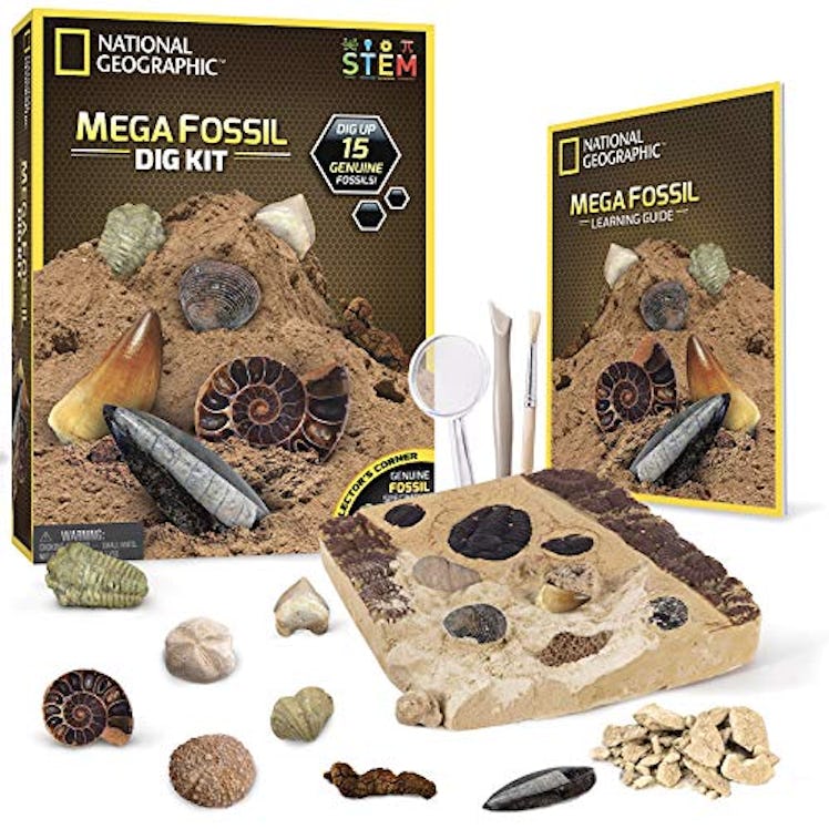 Mega Fossil Dig Kit by National Geographic