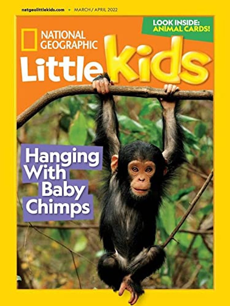 Little Kids Magazine Subscription Box by National Geographic