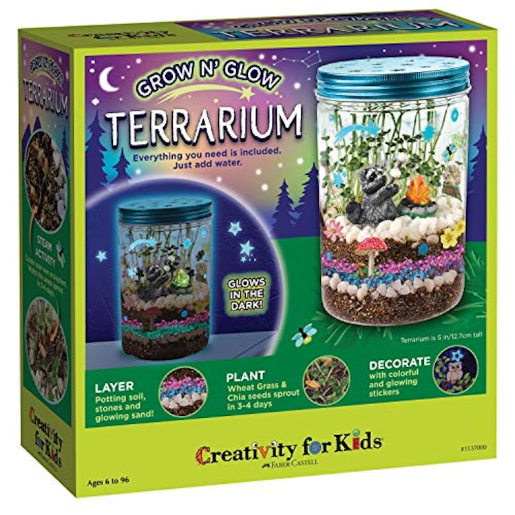 Grow ’n Glow Terrarium by Creativity for Kids