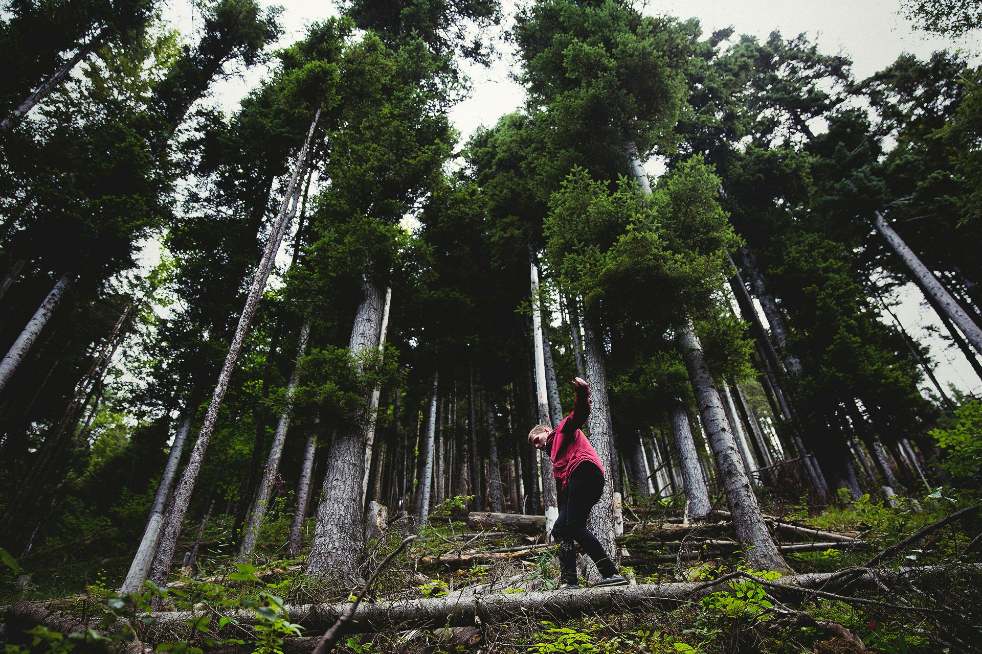 Why "Forest Bathing" Can Boost Your Physical And Mental Health