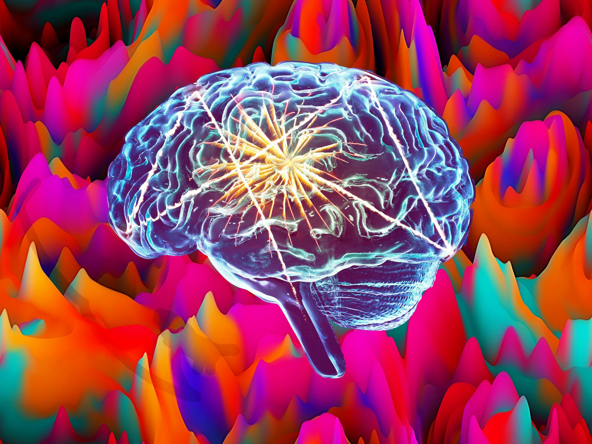 Study Reveals What Happens To The Brain On LSD