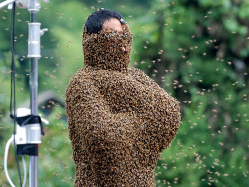 A person covered and surrounded by bees