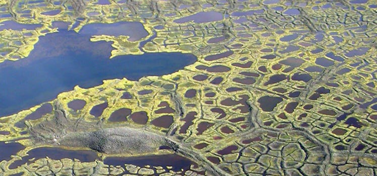 Carbon seeping up from the thawing permafrost turns lakes and ponds brown.