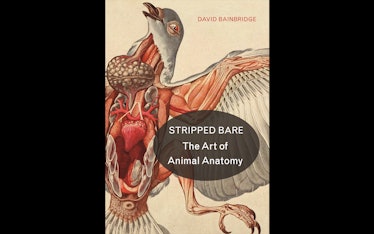 Cover of `Stripped Bare: The Art of Animal Anatomy`