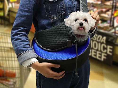 Small Pet Travel Carrier