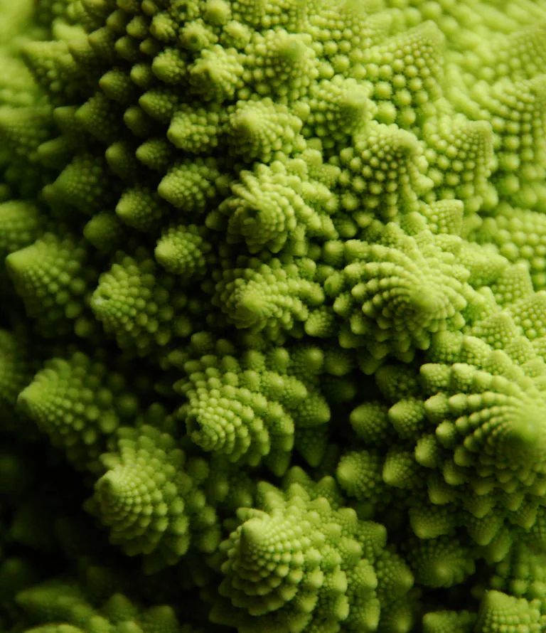 Why Does Fractal Broccoli Look Like It Belongs in ‘Star Wars’?