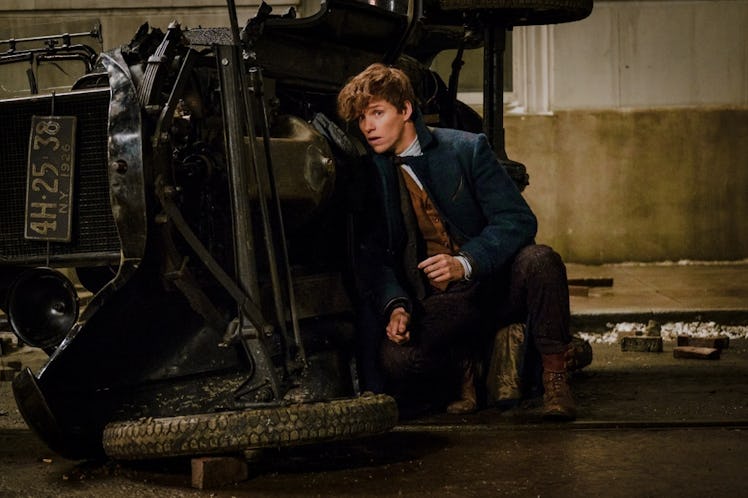 Newt Scamander in 'Fantastic Beasts and Where to Find Them'