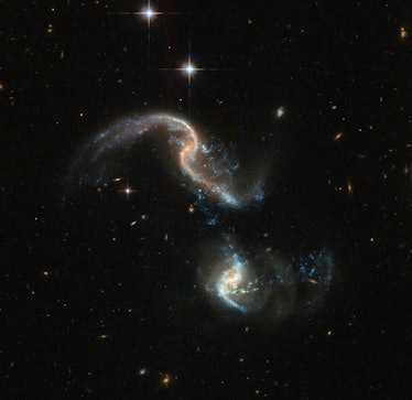 Arp 256 is a stunning system of two spiral galaxies, about 350 million light-years away, in an early...