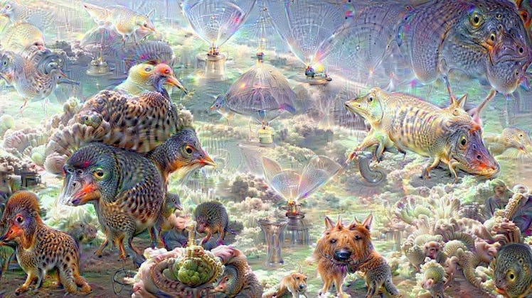 Funny or Junk by DeepDream