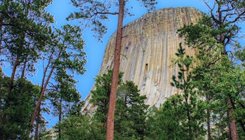 Devils Tower Wyoming Flat Earth No Forests