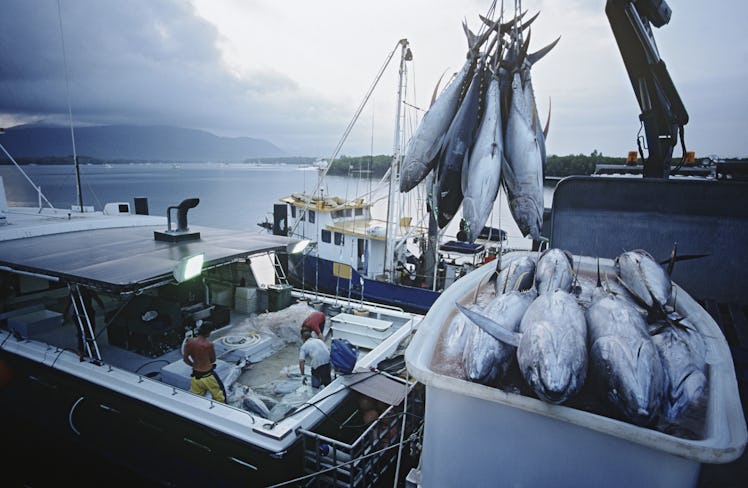 As tuna stocks drop, the international community is waking up to the fact that the ocean is not limi...
