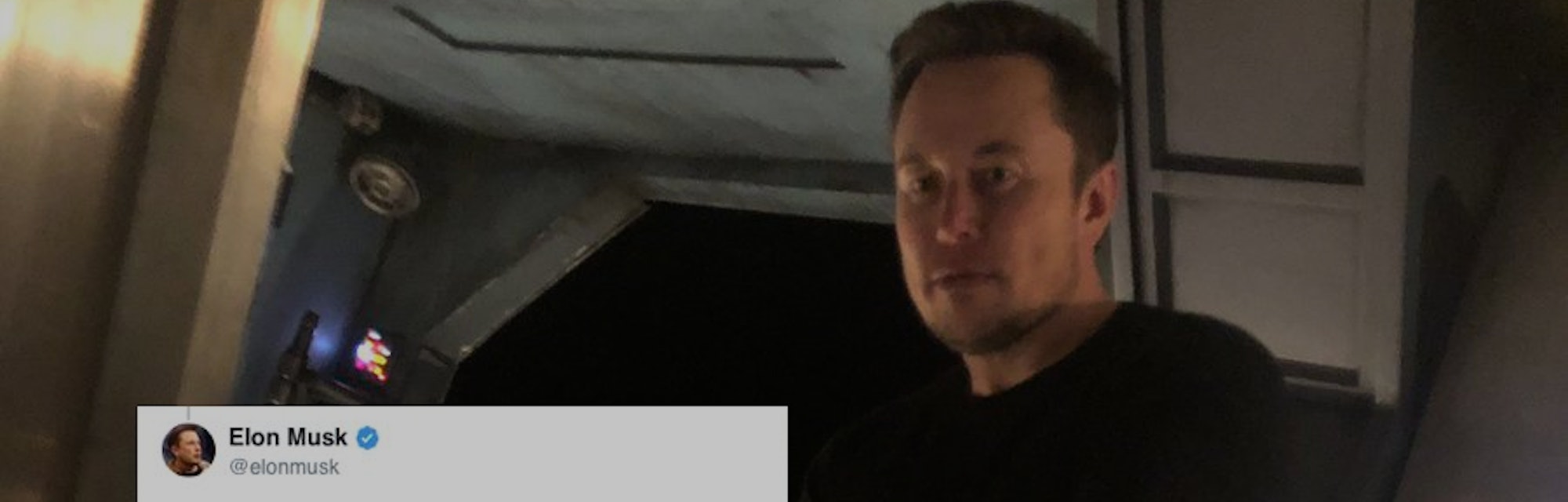 Elon Musk Did Pewdiepie S Meme Review With Rick And Morty S Justin Roiland