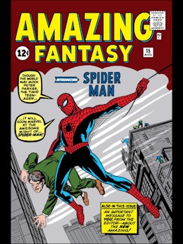 Spider-Man Comic Cover