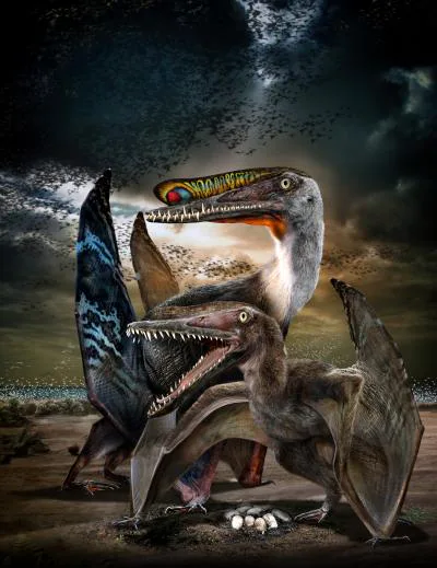 Pterosaur Fossil Discovery Reveals They Were Wiped Out In Their Prime