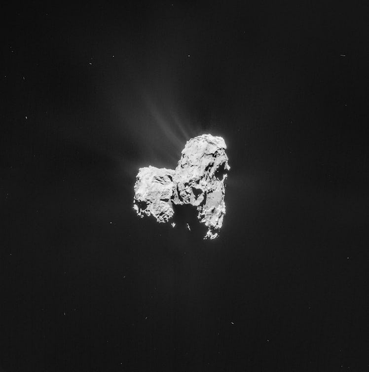 Comet 67P on 26 February - NAVCAM