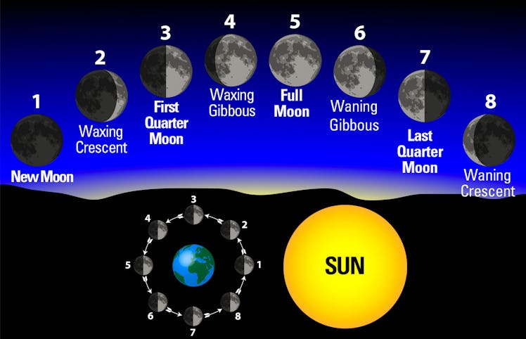 The 29.5 day lunar cycle CREDIT: The Farmers' Almanac