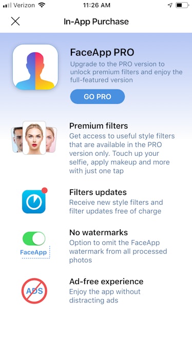 FaceApp pro section at In-App Purchase