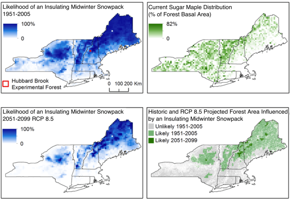 Why Declining Snow Cover May Indicate Greater Environmental Damage To Come