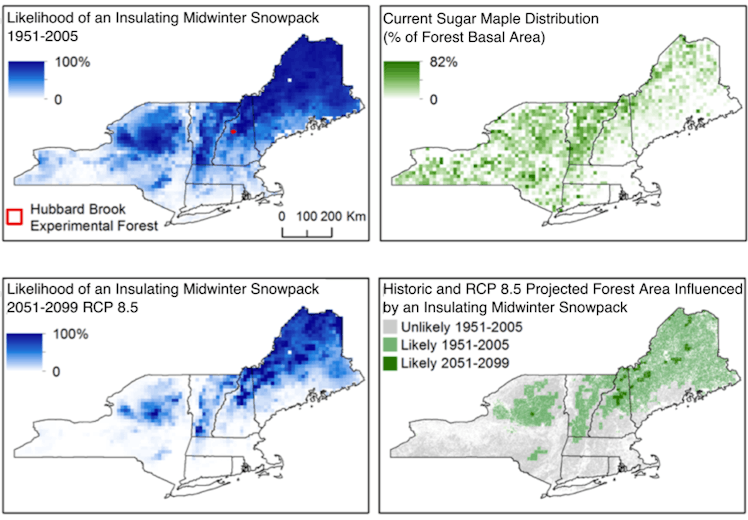 snowpack