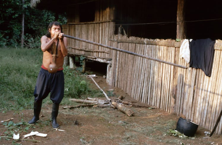 An Achuar tribesman standing with a blowgun