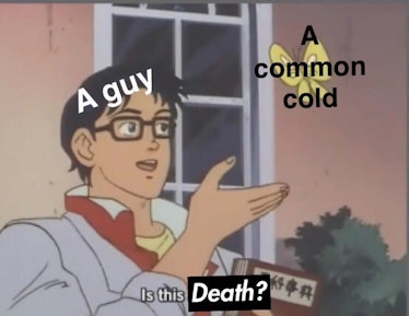 cold pigeon meme