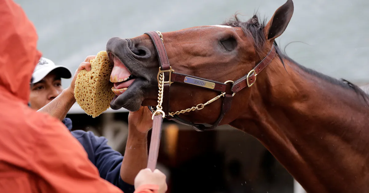 The Kentucky Derby Starts At The Same Time But Its Tech Is Changing The Kentucky Derby Starts At The Same Time But Its Tech Is Changing
