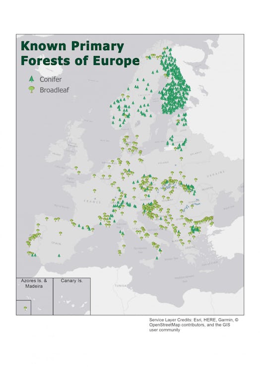 The first map of Europe's last wild forests. The map identifies more than 3.4 million acres in 34 Eu...