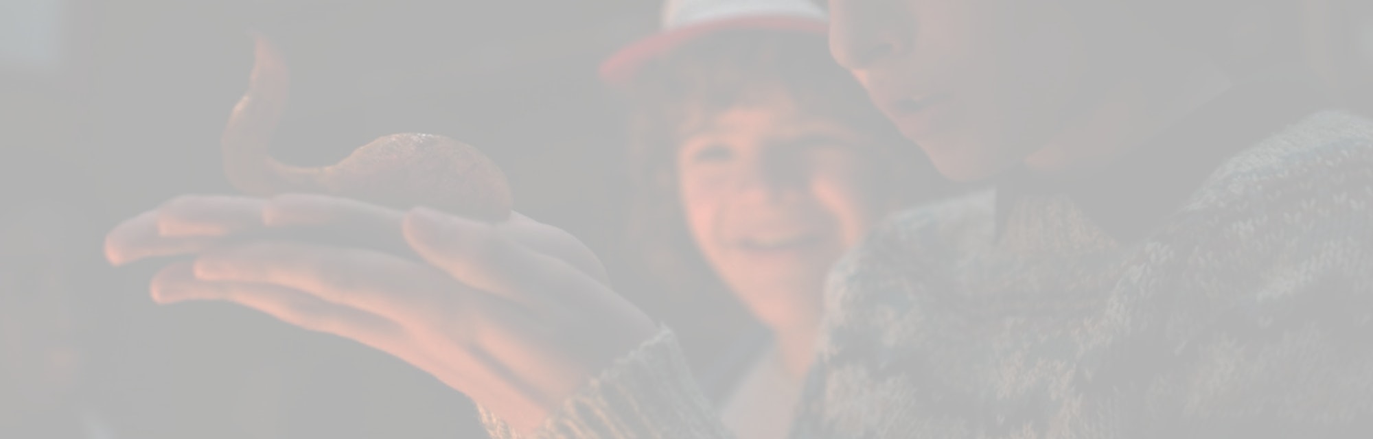 Is The Pollywog In Stranger Things A Baby Demogorgon