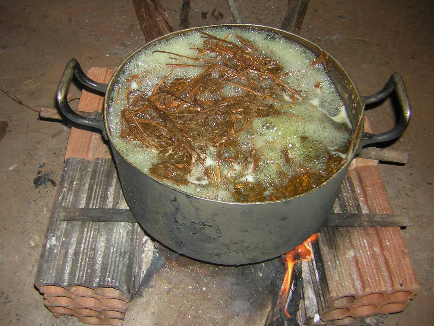 Ayahuasca Study Reveals Improvements In Psychological Well Being