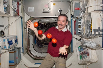 Chris Hadfield in space