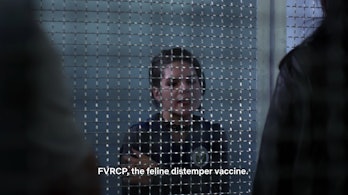 Jessica Jones Netflix Feline Vaccine
