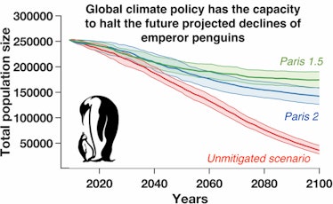 Emperor Penguins population