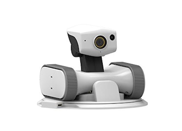 Home robots for sale: Appbot Riley