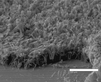 carbon nanotube evenly coated with lithium metal