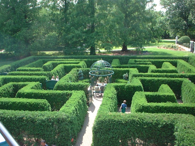 A hedge maze in St. Louis Botanical Gardens in Missouri.