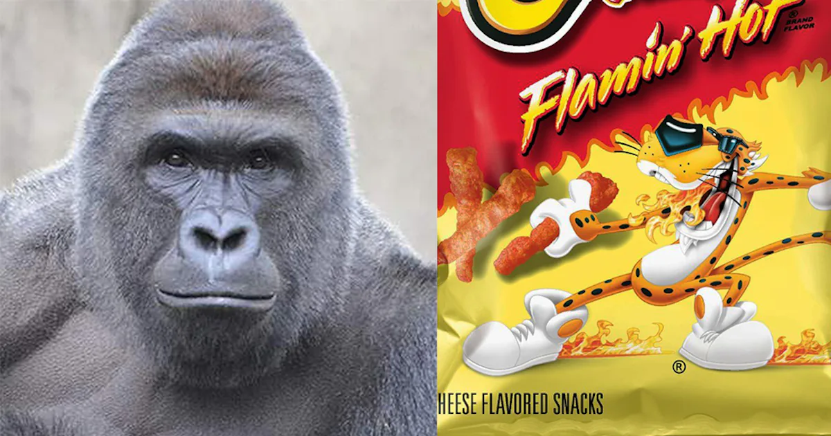 People Are Bidding $100,000 on eBay for a Cheeto Shaped Like Harambe