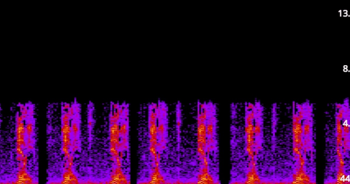 Laurel Or Yanny Linguist Explains Why It S Possible To Hear Both