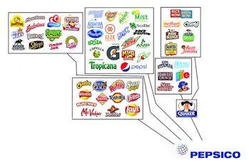 Pepsico properties