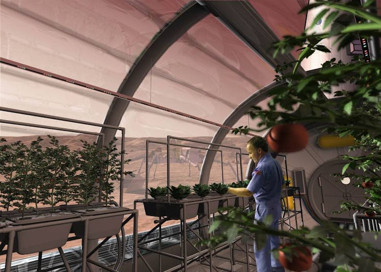NASA's vision of hydroponics on Mars.