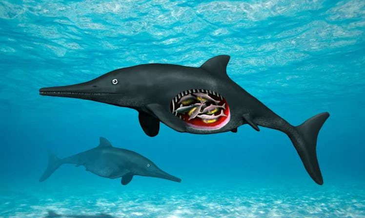 Ichthyosaur dinosaur